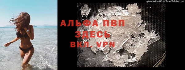 гидра Абаза
